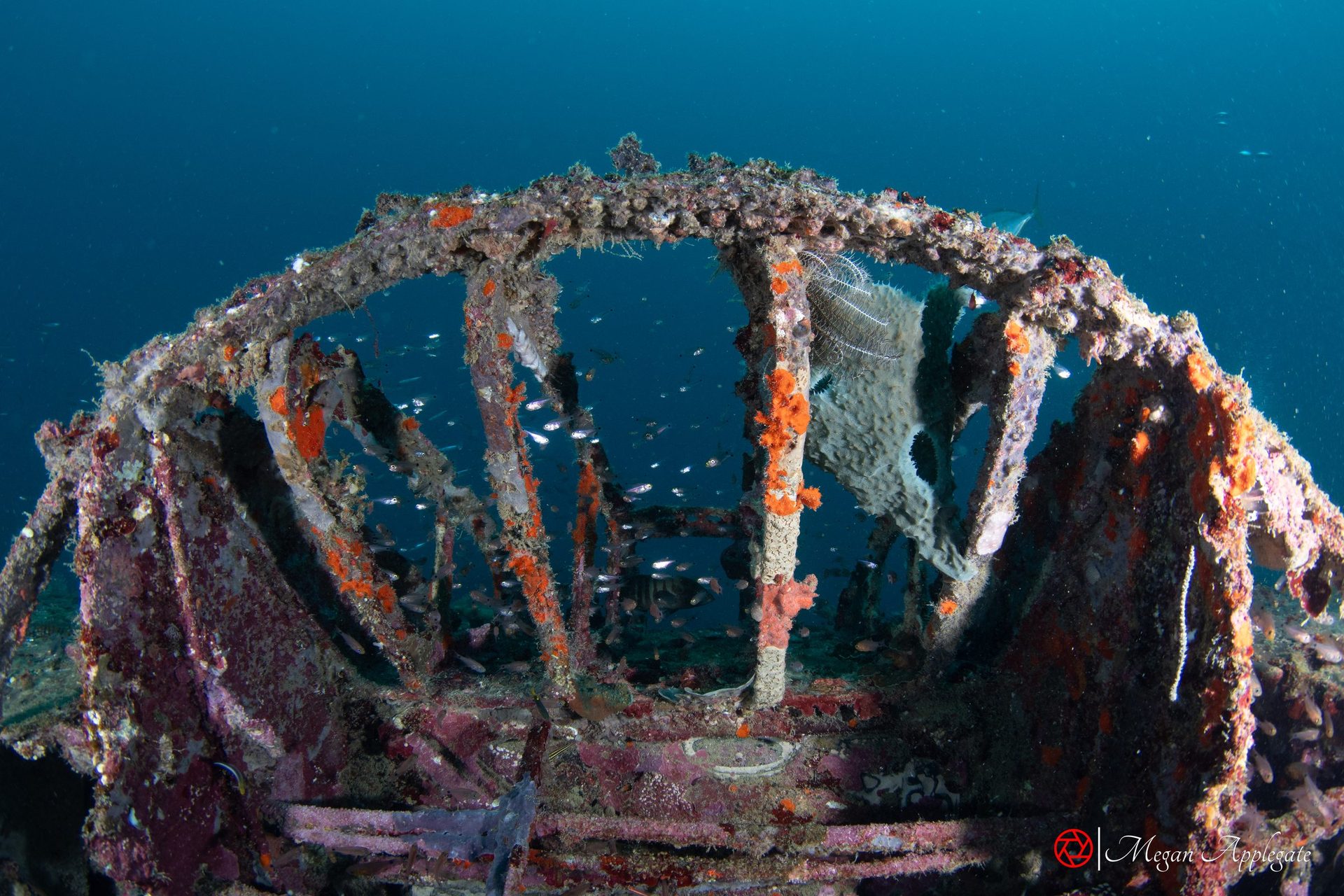 Catalina flying boat wreck, Tulagi